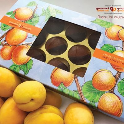 Box Dried apricot / Dark chocolates